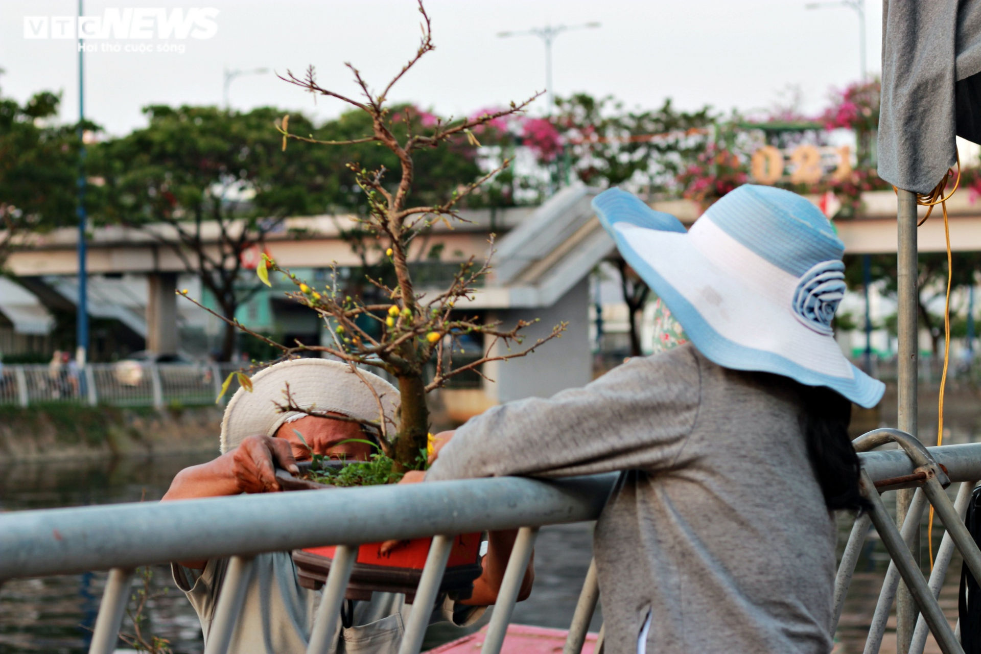 Ảnh: Rực rỡ chợ hoa 'Trên bến, dưới thuyền' ở Sài Gòn - 8