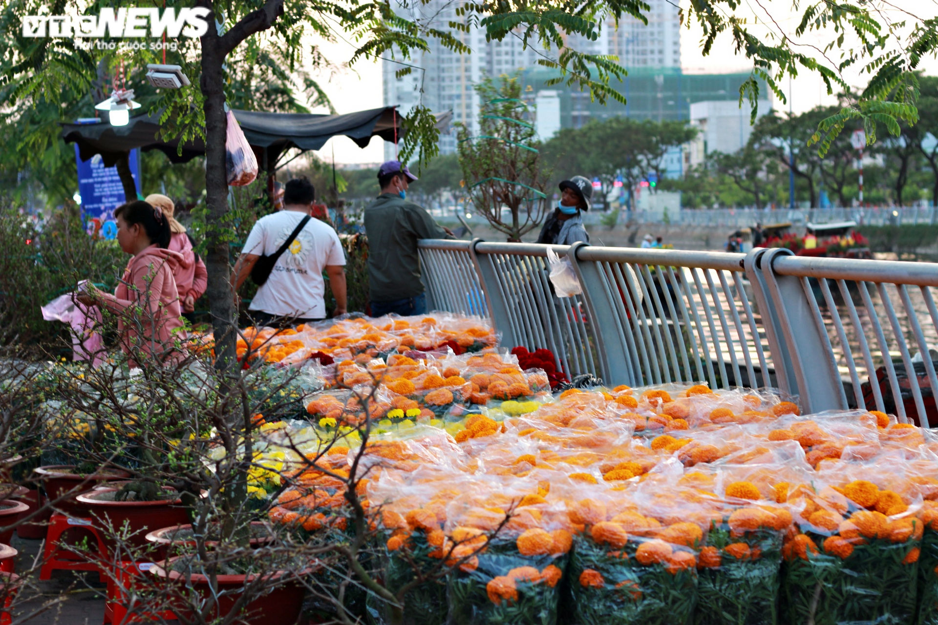 Ảnh: Rực rỡ chợ hoa 'Trên bến, dưới thuyền' ở Sài Gòn - 4