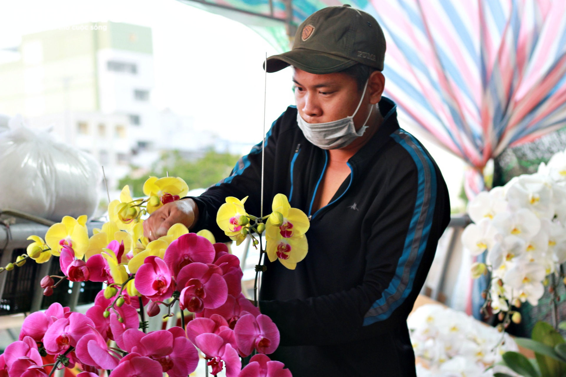 Ảnh: Rực rỡ chợ hoa 'Trên bến, dưới thuyền' ở Sài Gòn - 11