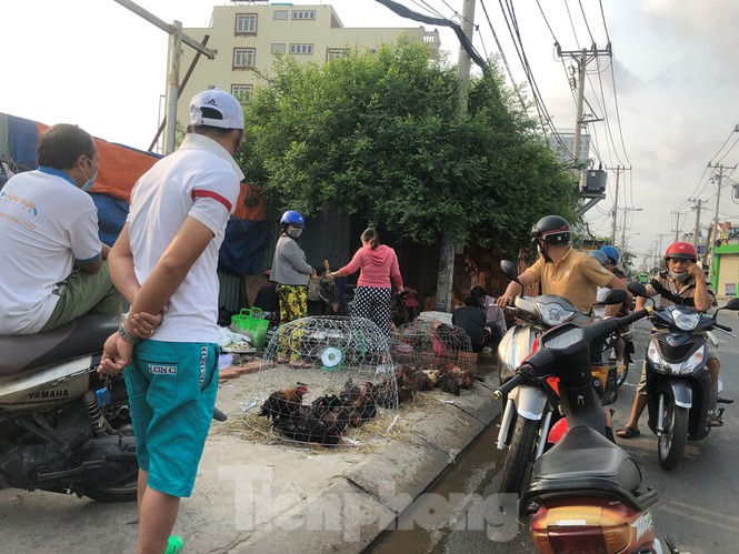 Sáng mùng 3 Tết, dân Sài Gòn xếp hàng vào siêu thị mua gà cúng  - ảnh 7