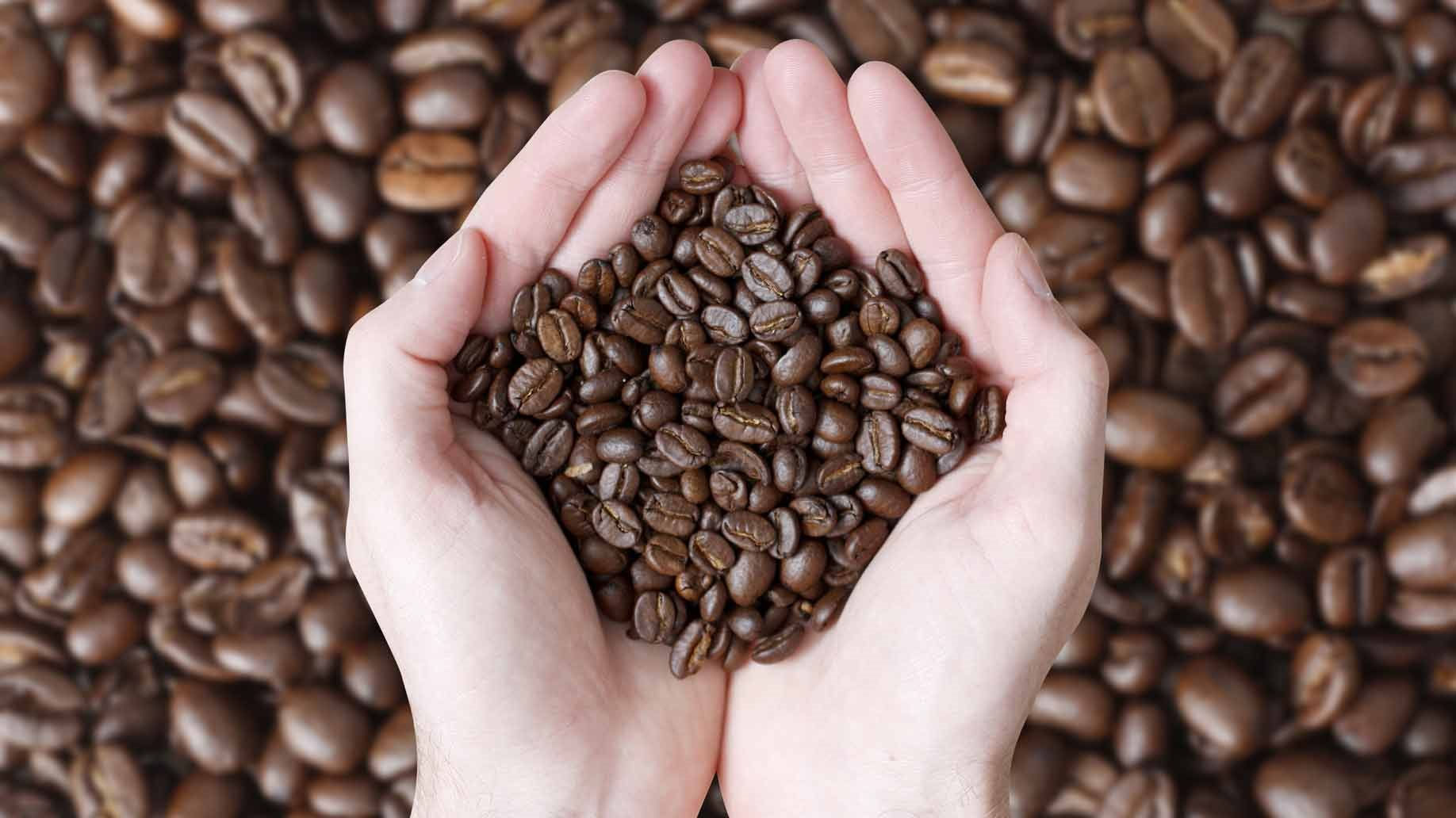 coffee-beans-roasted-fair-trade.jpg