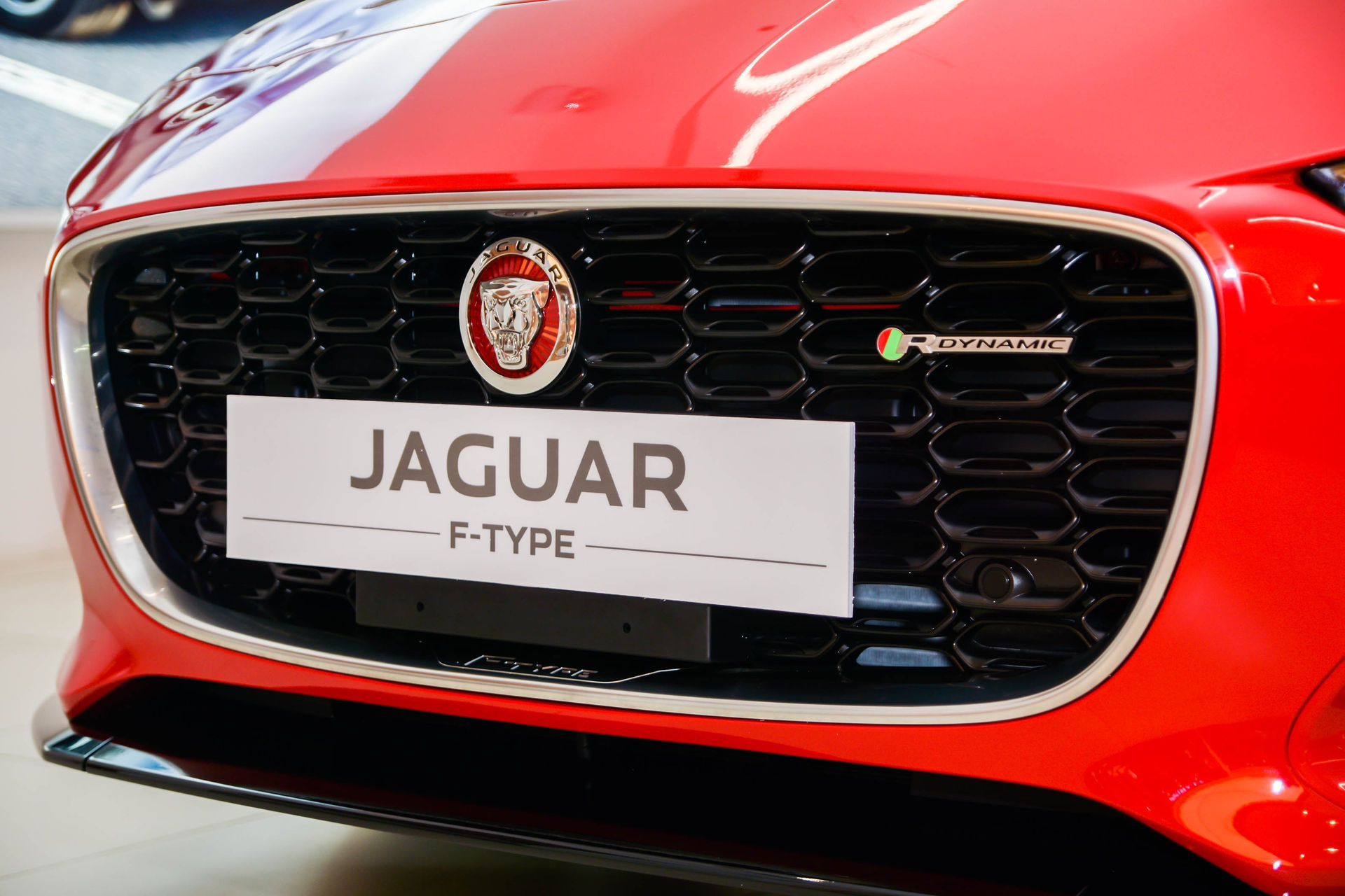 Ngam Jaguar F-Type ban mui tran tai Viet Nam anh 5