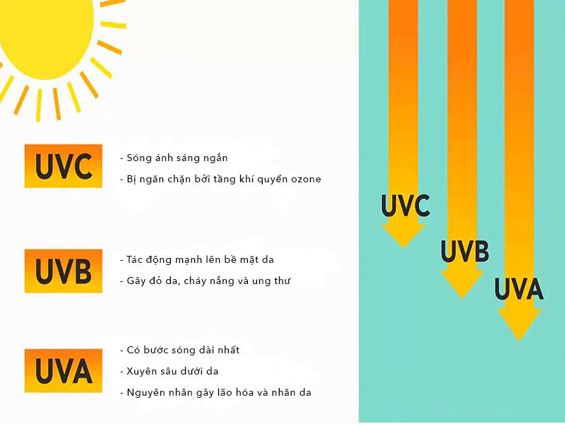 Khi nói đến ảnh hưởng của tia UV đến sức khỏe con người và môi trường, tia UV được chia ra làm 3 loại