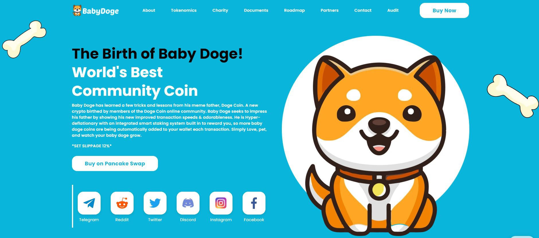 Baby Doge Coin anh 1