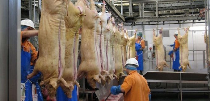 abattoir-workers-696x336-696x336-112710_735.jpg