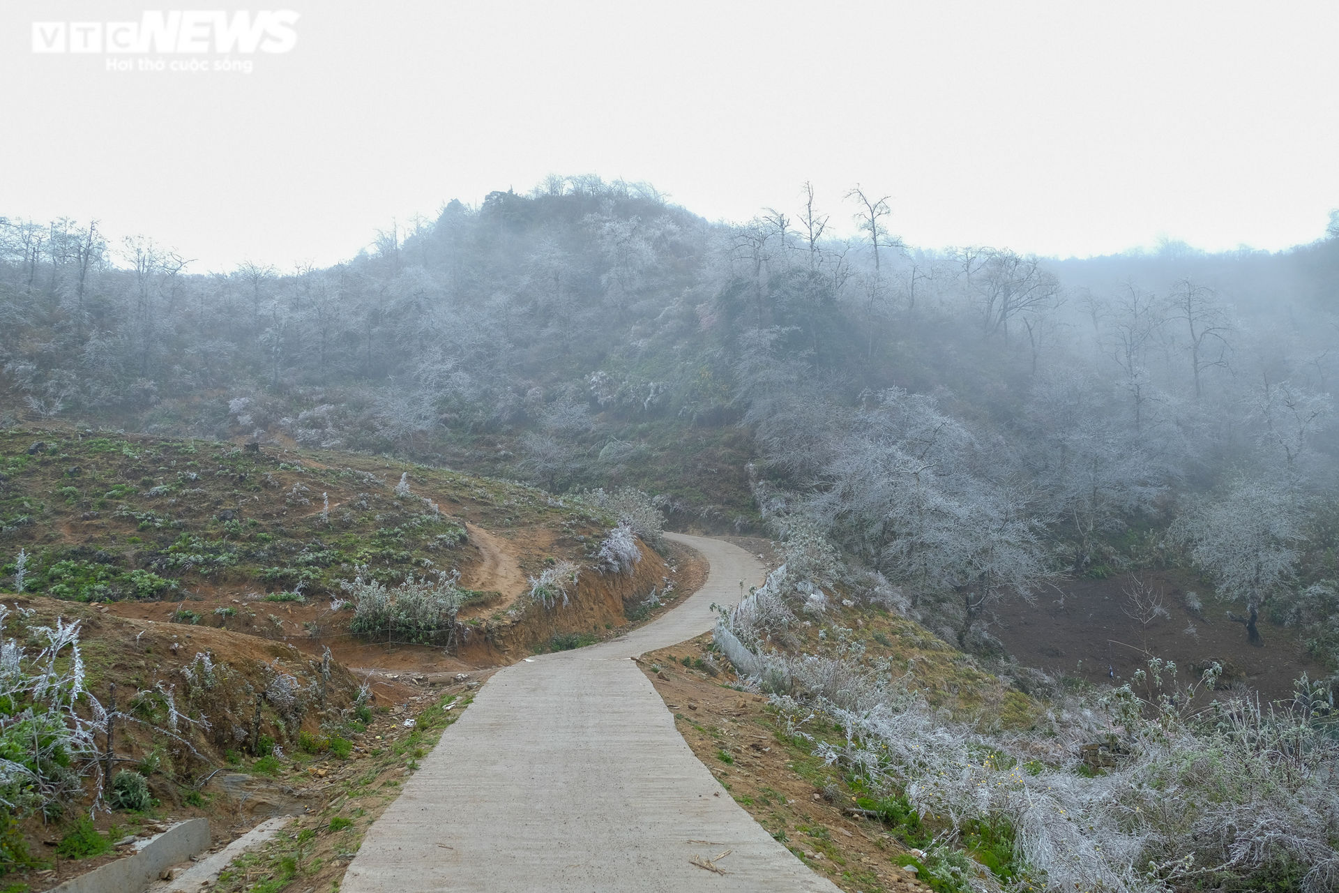 Ảnh: Băng tuyết phủ trắng xóa núi đồi, xã biên giới ở Lào Cai đẹp như trời Tây - 1