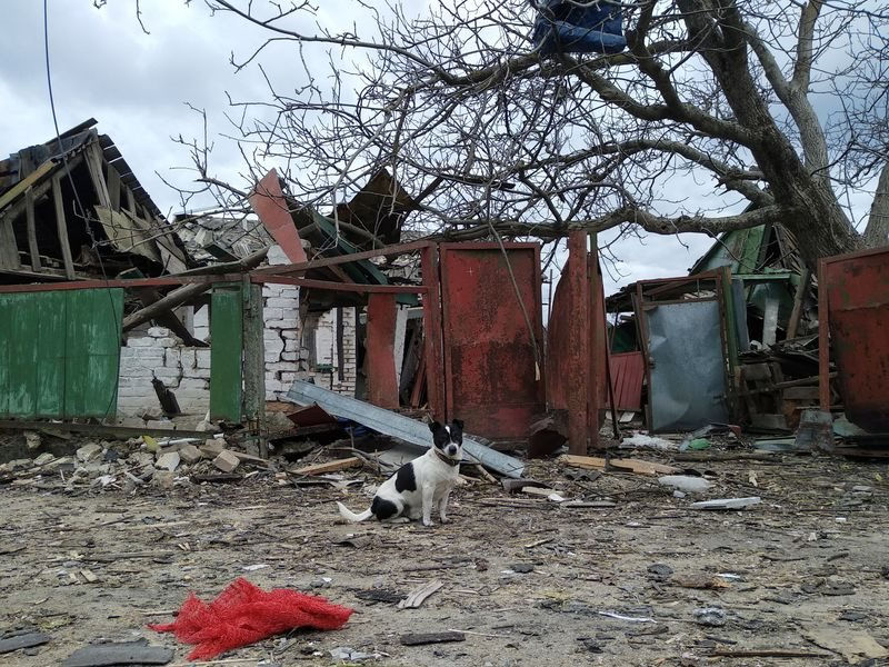 2022-03-07t052800z_1_lynxmpei2605s_rtroptp_3_ukraine-crisis-kyiv-region.jpg