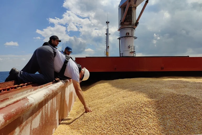 Nga tuyên bố dừng tham gia thỏa thuận xuất khẩu ngũ cốc - Ảnh 1.