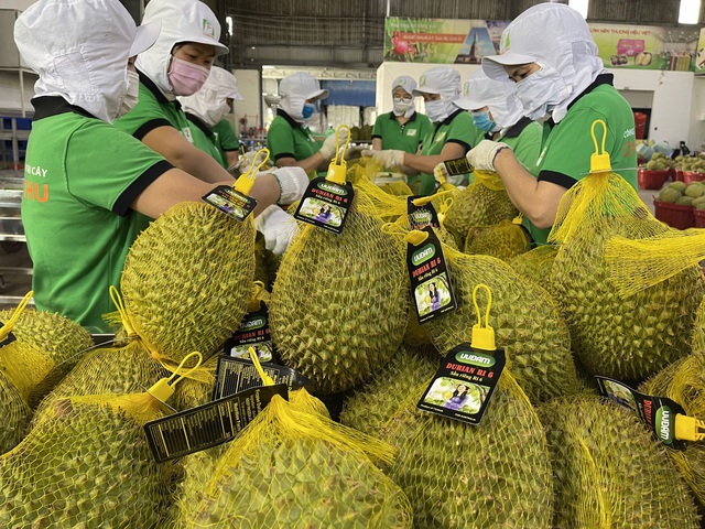 Xuất khẩu rau quả sang thị trường Trung Quốc tăng 44,2% - Ảnh 1.