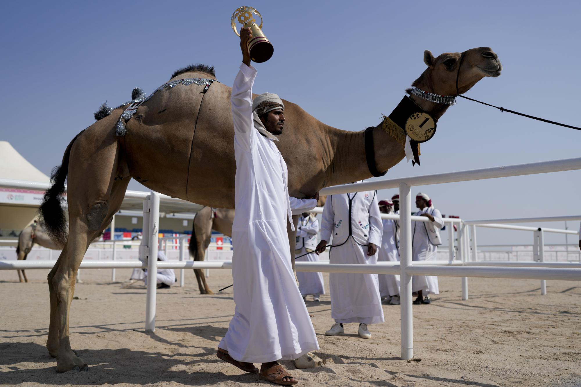 Cuộc thi lạc đà Qatar thu hút du khách bên lề World Cup - Ảnh 3.