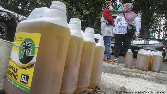 Vì sao việc Indonesia cấm xuất khẩu dầu cọ khiến thế giới lo lắng? - Ảnh 1.