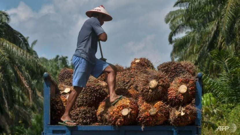 Tại sao lệnh cấm xuất khẩu dầu cọ của Indonesia lại châm ngòi lo lắng về giá thực phẩm toàn cầu? - Ảnh 1.