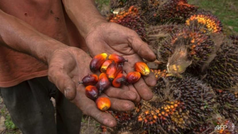 Tại sao lệnh cấm xuất khẩu dầu cọ của Indonesia lại châm ngòi lo lắng về giá thực phẩm toàn cầu? - Ảnh 4.