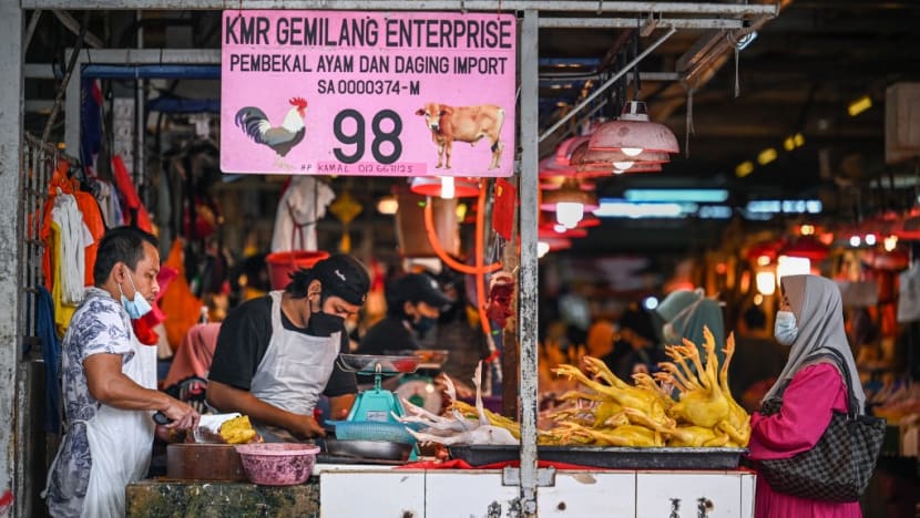Malaysia ngừng xuất khẩu 3,6 triệu con gà mỗi tháng cho đến khi giá trong nước ổn định - Ảnh 1.