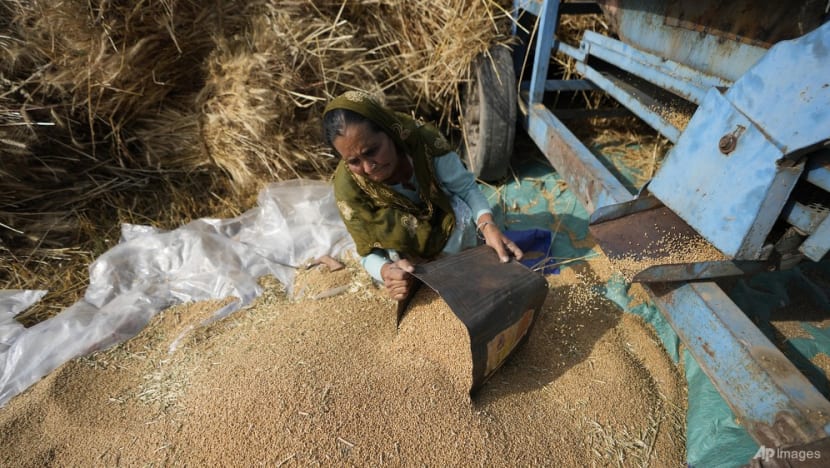 Lệnh cấm xuất khẩu lúa mì của Ấn Độ tác động như thế nào đến thế giới? - Ảnh 2.