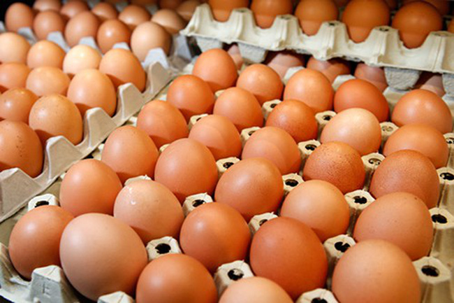 Giá trứng bình ổn có thể được điều chỉnh tăng - Ảnh 1.