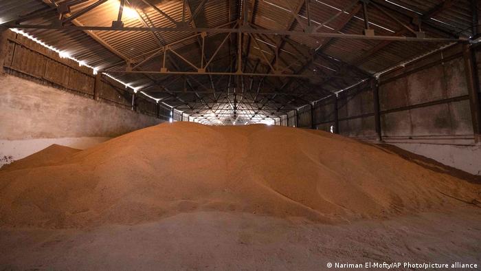 Gần đến vụ thu hoạch, vấn đề xuất khẩu lúa mì của Ukraina lại 'nóng' lên - Ảnh 1.