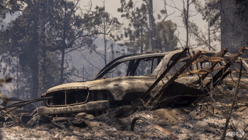 Hàng nghìn ha rừng bị thiêu rụi tại California khi nắng nóng bao trùm nước Mỹ - Ảnh 2.