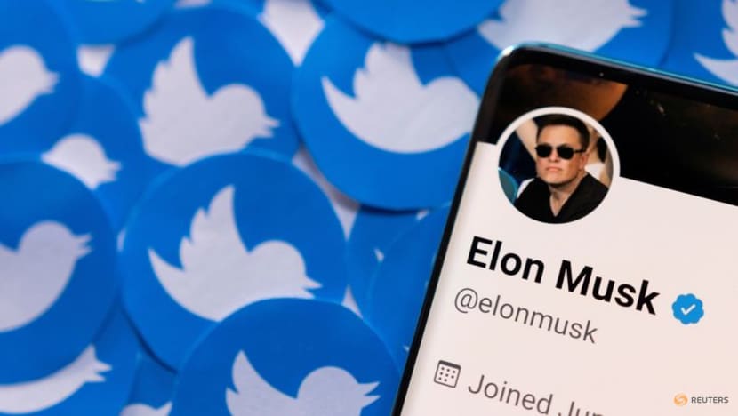 Twitter chuẩn bị kiện Elon Musk - Ảnh 2.