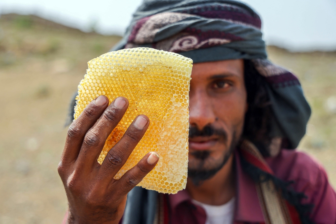Chiến tranh và biến đổi khí hậu đã làm cho loại mật ong 'tốt nhất thế giới' của Yemen dần biến mất - Ảnh 1.