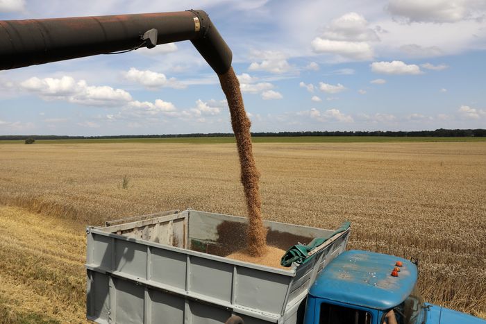26.000 tấn ngũ cốc đầu tiên của Ukraina đang trên đường đến Lebanon - Ảnh 1.