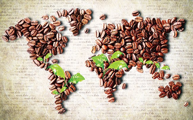 Những nước tiêu thụ cà phê nhiều nhất thế giới - Ảnh 1.