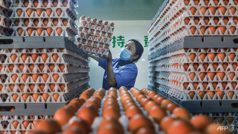 Đợt nắng nóng tại Trung Quốc đẩy giá trứng gà tăng vọt
 - Ảnh 1.