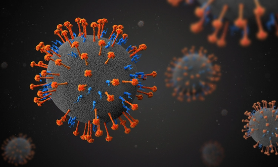 Trung Quốc phát hiện loại virus mới, lây truyền từ động vật, đã có 35 người nhiễm - Ảnh 1.