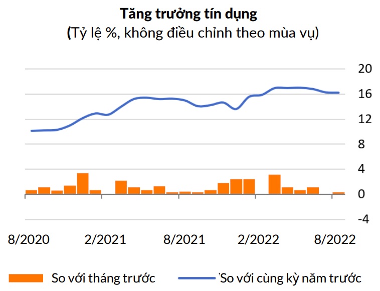 WB: Tăng trưởng tín dụng của Việt Nam vẫn ở mức cao - Ảnh 1.