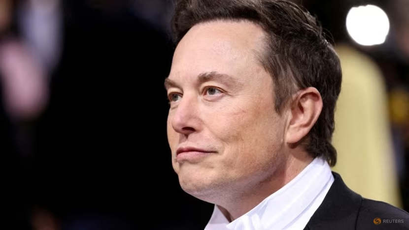 Elon Musk phác thảo vở kịch suy thoái kinh tế của Tesla - Ảnh 1.