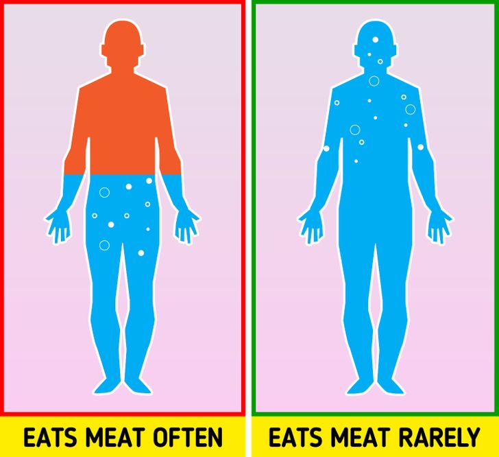 Điều gì xảy ra với cơ thể khi bạn ăn quá nhiều thịt - Ảnh 2.