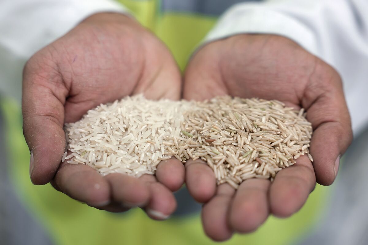 Ngành gạo Anh lo ngại Hiệp ước Ấn Độ sẽ phá sản các nhà máy địa phương - Ảnh 2.