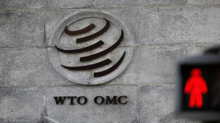 Ấn Độ đề xuất định nghĩa rõ ràng về thương mại điện tử đối với hàng hóa, dịch vụ trong WTO - Ảnh 1.