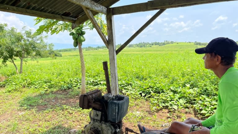 Nông dân Philippines 'buồn vui lẫn lộn' vì trần giá gạo - Ảnh 5.