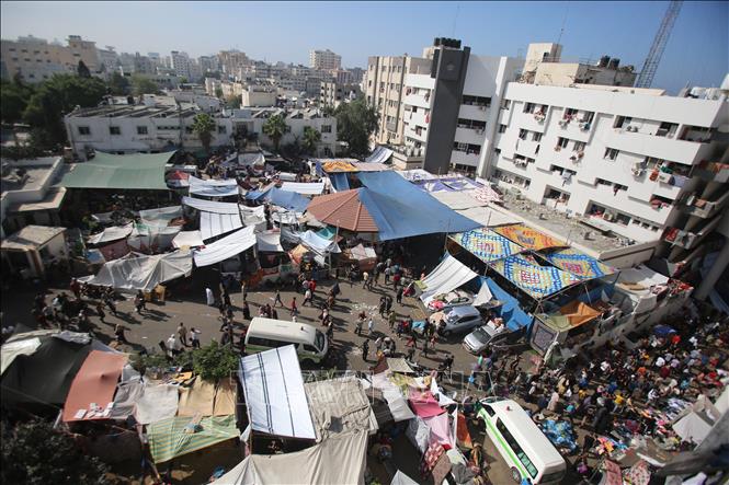 Bệnh viện lớn nhất Gaza phải chôn bệnh nhân trong mộ tập thể- Ảnh 1.