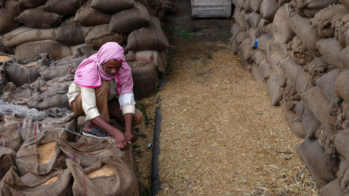 Ấn Độ dự kiến ​​duy trì lệnh cấm xuất khẩu gạo đến năm 2024- Ảnh 1.