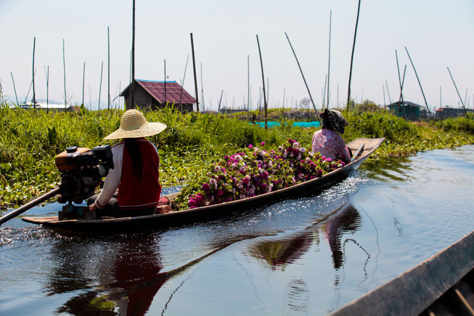Hồ Inle nổi tiếng của Myanmar bị 'nghẹt thở'- Ảnh 2.