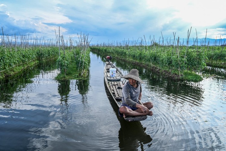 Hồ Inle nổi tiếng của Myanmar bị 'nghẹt thở'- Ảnh 4.
