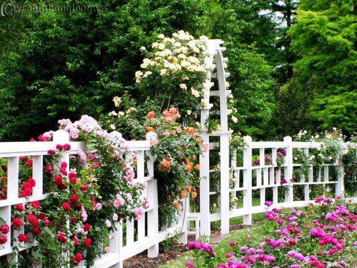 Cổng vườn đẹp, đơn giản giúp tăng tính thẩm mỹ cho ngôi nhà- Ảnh 1.
