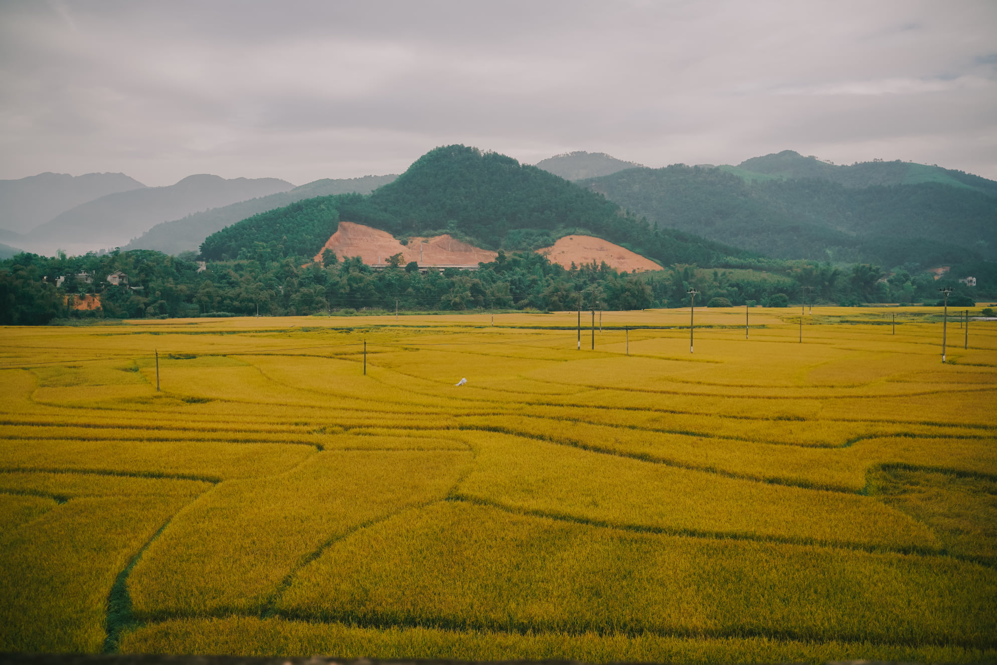 Ngắm 'thiên đường' cỏ lau trên đường tuần tra biên giới- Ảnh 7.