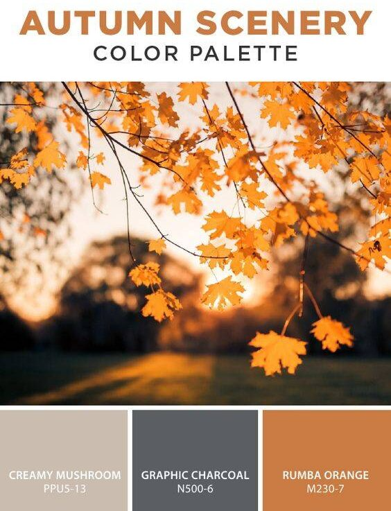 Cách phối màu nhà lấy cảm hứng từ mùa thu - Ảnh 3.