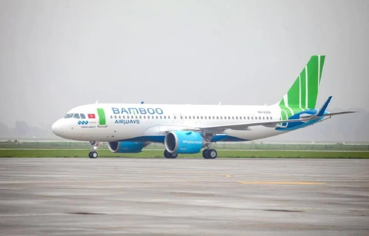 Nợ tiền thuế, Bamboo Airways bị phong tỏa 3 tài khoản ngân hàng - Ảnh 1.