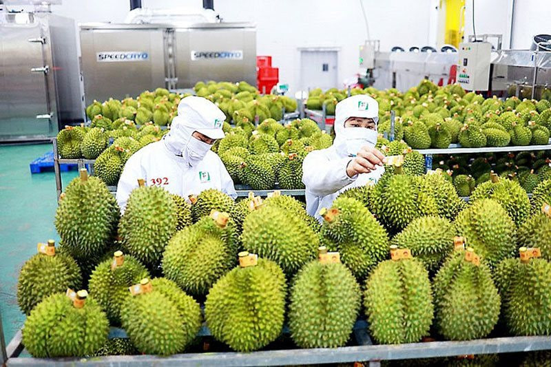 Nông sản Việt xuất khẩu đi Trung Quốc cả tỷ USD, hàng không đủ bán- Ảnh 1.