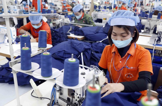 Nhật Bản có nhu cầu nhập khẩu nhiều mặt hàng thế mạnh của Việt Nam- Ảnh 2.