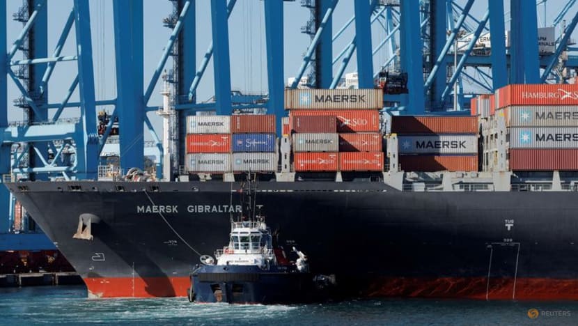 Maersk tạm dừng tất cả các chuyến hàng container qua Biển Đỏ- Ảnh 1.