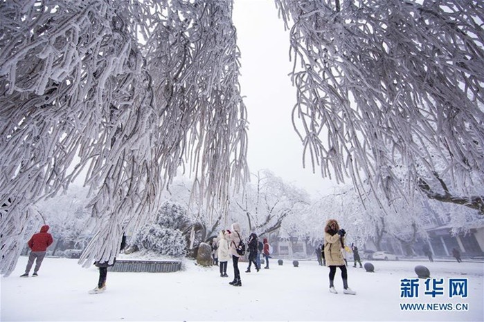 Bắc Kinh trải qua đợt lạnh nhất 70 năm, trong khi người Canada đón một Giáng sinh không có tuyết- Ảnh 2.