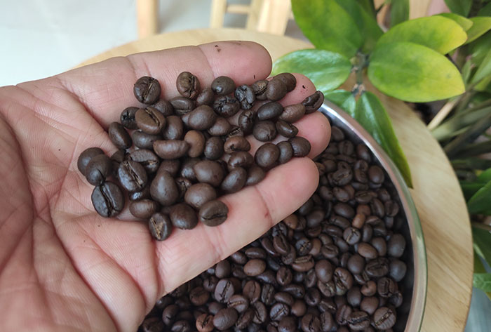 Dự báo giá cà phê sẽ tăng trong ngắn hạn- Ảnh 1.