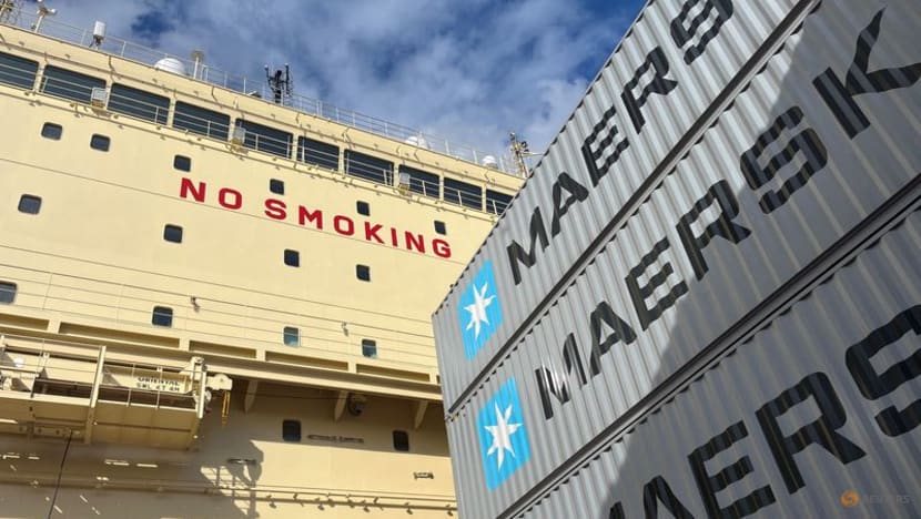 Maersk đầu tư hơn 500 triệu USD để thúc đẩy chuỗi cung ứng Đông Nam Á- Ảnh 1.