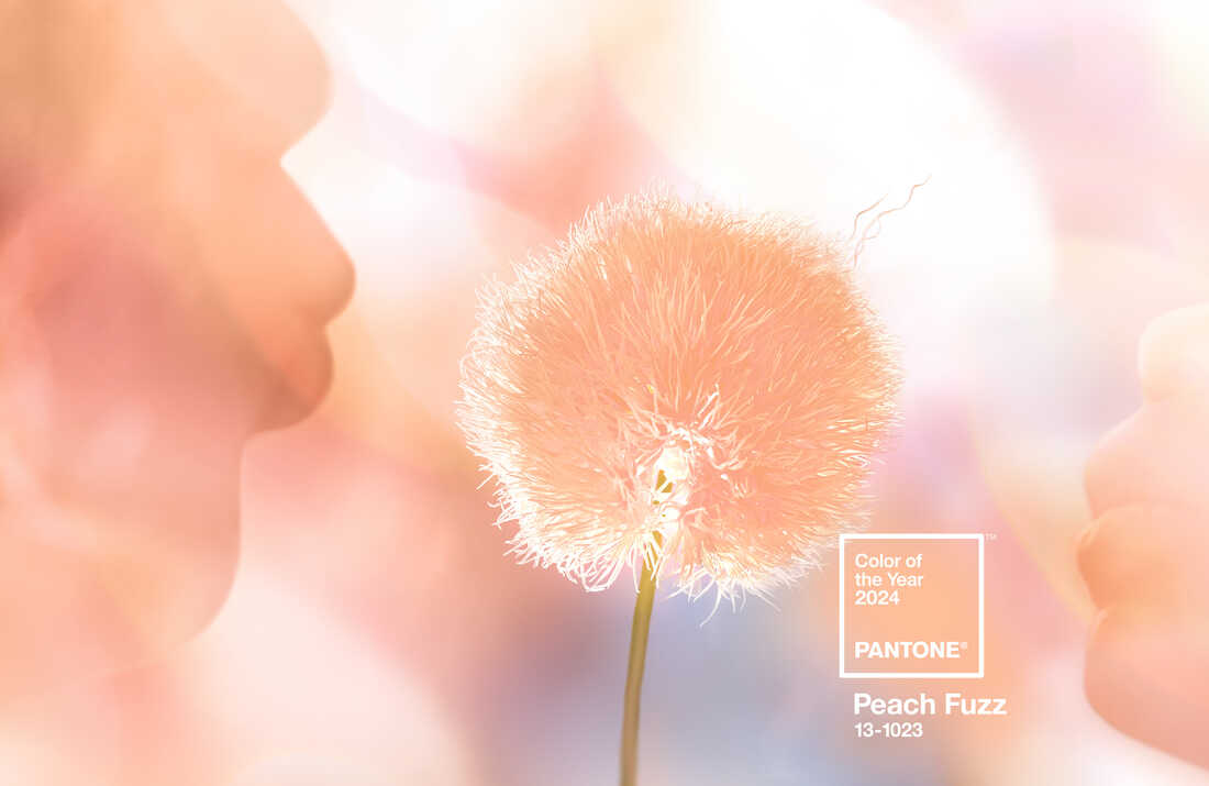 Peach Fuzz - màu sắc mơ màng vừa được công bố năm 2024 - Ảnh 4.