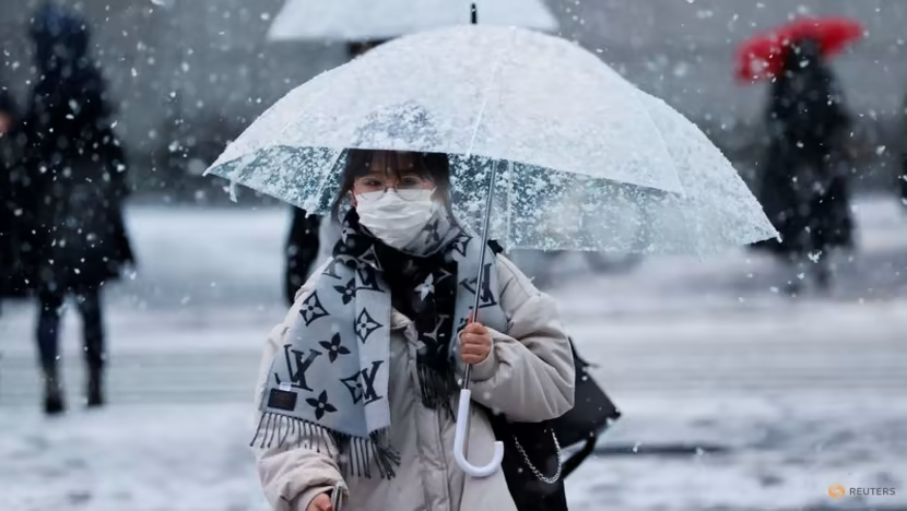 Nhật Bản: Tuyết rơi dày làm gián đoạn giao thông, nhiều tuyến đường bị đóng cửa - Ảnh 1.